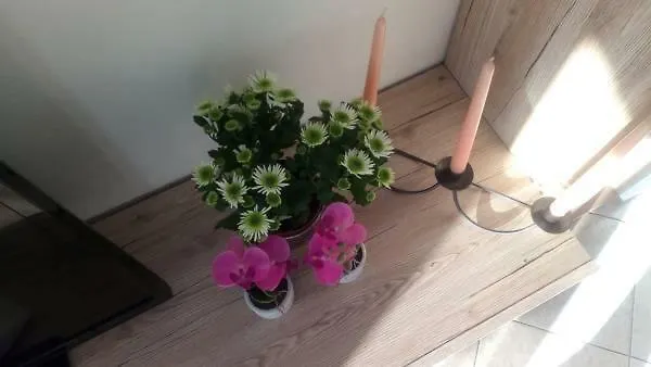 Jordanapartment Apartman Poreč