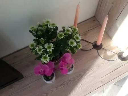 Jordanapartment Lejlighed Poreč